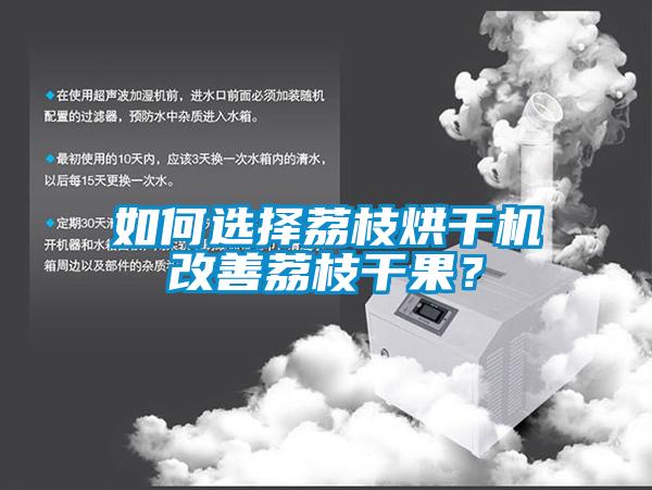 如何選擇荔枝烘干機改善荔枝干果？