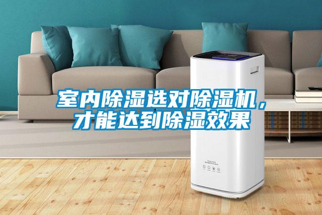 室內(nèi)除濕選對(duì)除濕機(jī)，才能達(dá)到除濕效果
