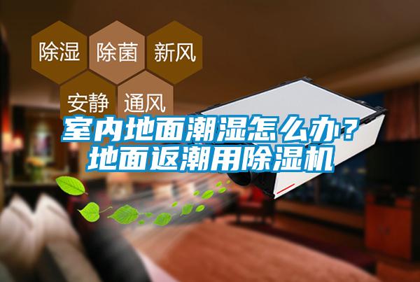 室內(nèi)地面潮濕怎么辦？地面返潮用除濕機(jī)