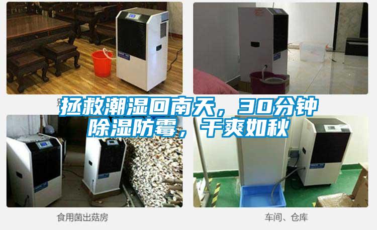 拯救潮濕回南天，30分鐘除濕防霉，干爽如秋