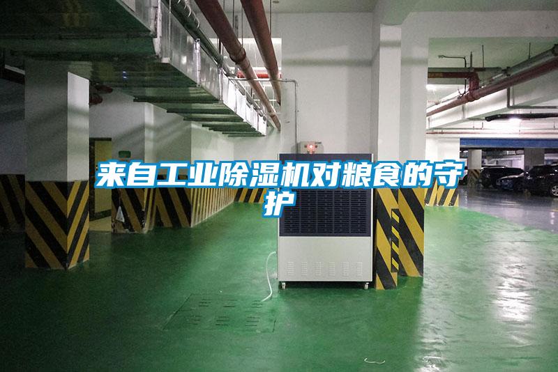 來自工業(yè)除濕機對糧食的守護