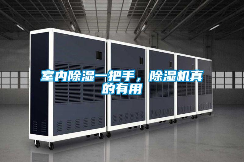 室內(nèi)除濕一把手，除濕機真的有用