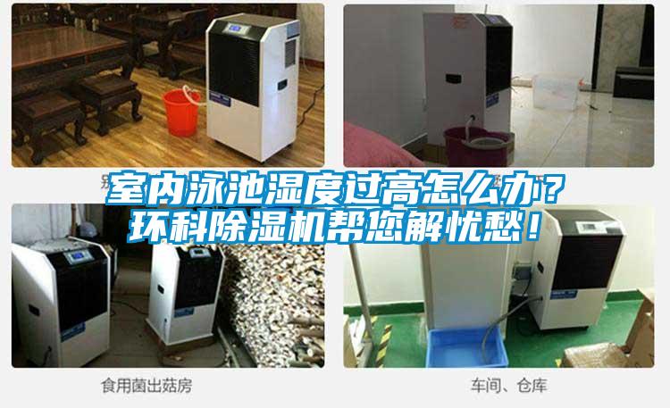 室內(nèi)泳池濕度過高怎么辦？環(huán)科除濕機幫您解憂愁！