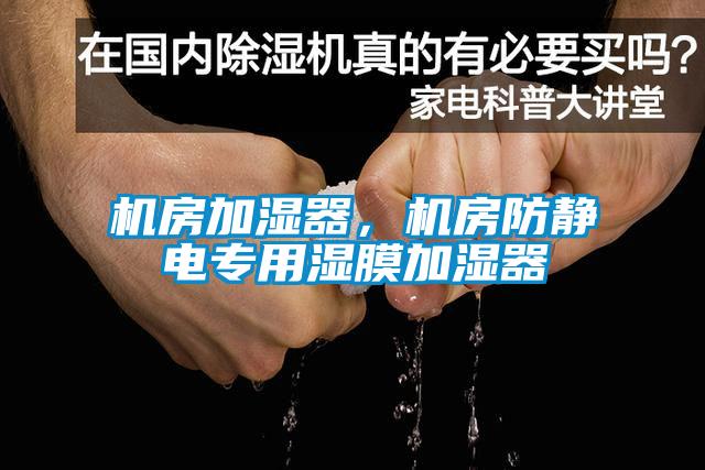 機(jī)房加濕器，機(jī)房防靜電專用濕膜加濕器