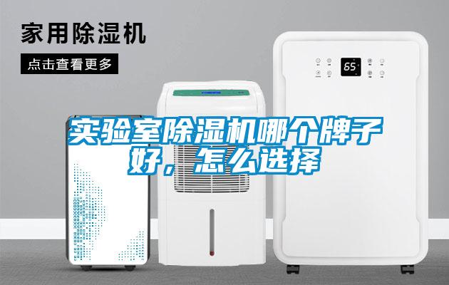 實(shí)驗(yàn)室除濕機(jī)哪個(gè)牌子好，怎么選擇