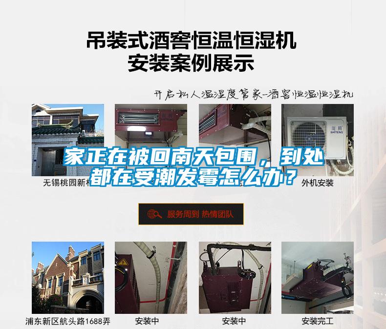 家正在被回南天包圍，到處都在受潮發(fā)霉怎么辦？