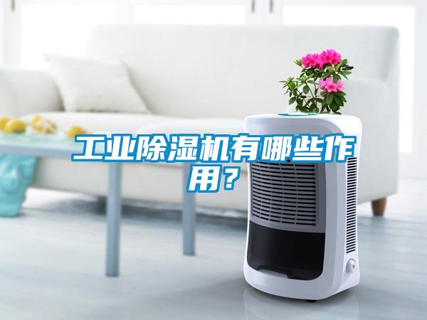工業(yè)除濕機有哪些作用？
