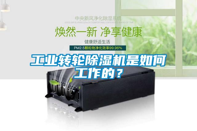 工業(yè)轉(zhuǎn)輪除濕機是如何工作的？