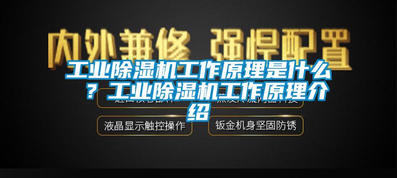 工業(yè)除濕機(jī)工作原理是什么 ？工業(yè)除濕機(jī)工作原理介紹