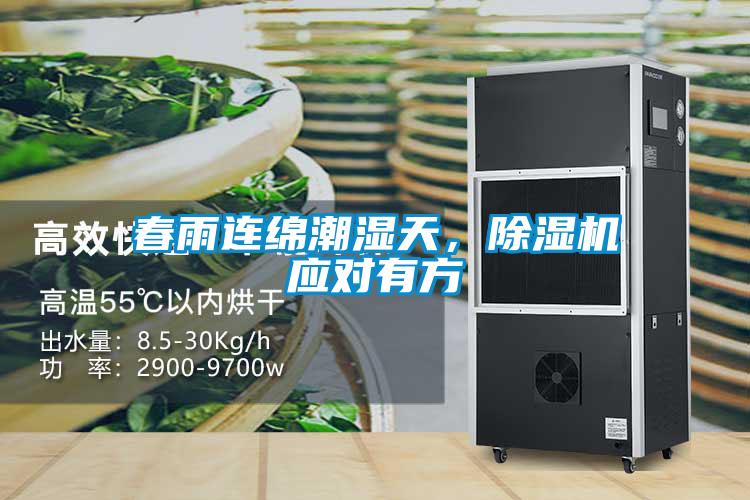 春雨連綿潮濕天，除濕機應對有方