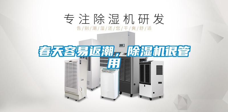 春天容易返潮，除濕機很管用