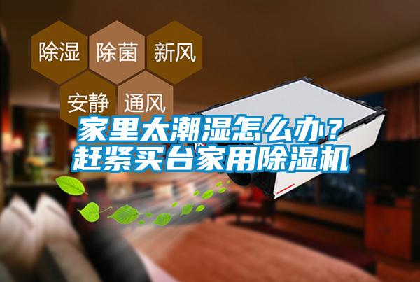 家里太潮濕怎么辦？趕緊買臺家用除濕機