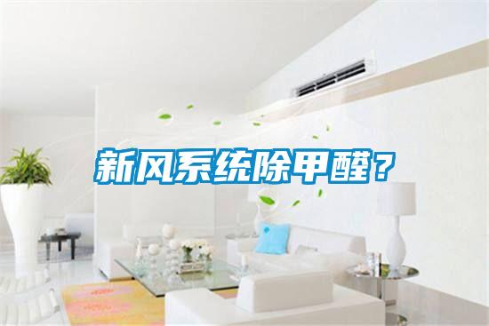 新風(fēng)系統(tǒng)除甲醛？
