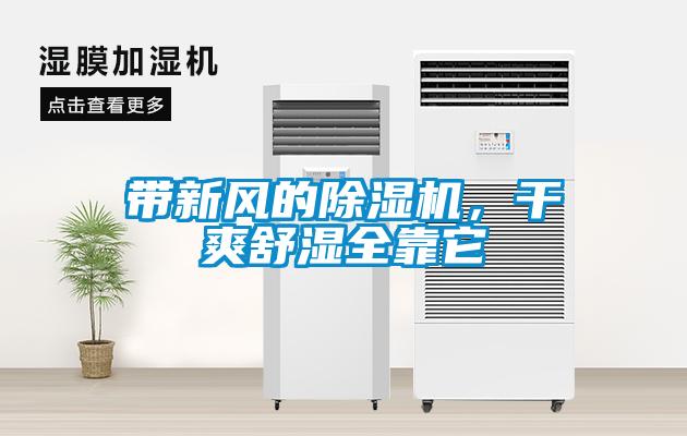 帶新風(fēng)的除濕機，干爽舒濕全靠它