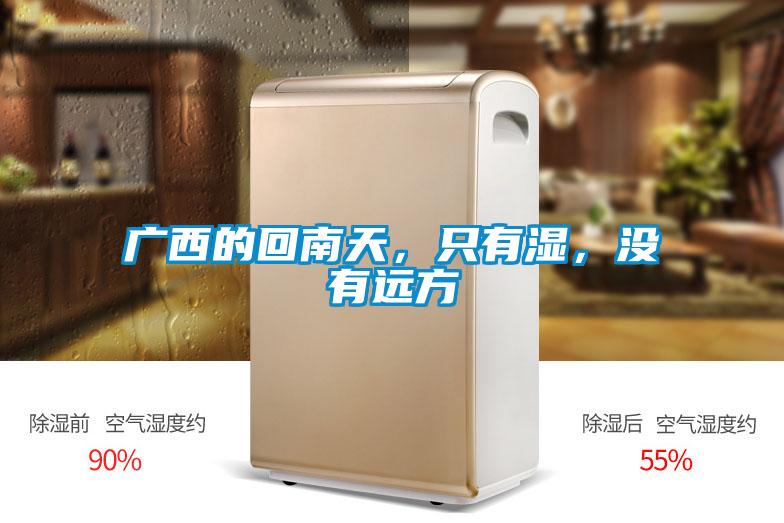 廣西的回南天，只有濕，沒有遠方