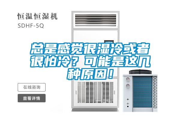 總是感覺很濕冷或者很怕冷？可能是這幾種原因！
