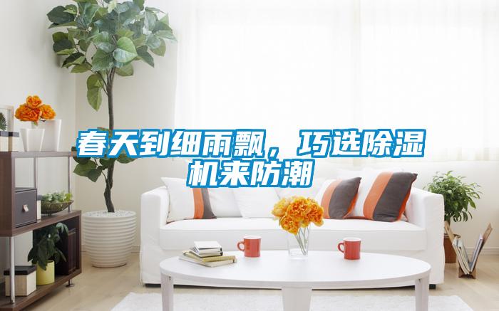 春天到細(xì)雨飄，巧選除濕機(jī)來防潮