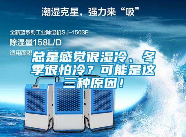 總是感覺很濕冷、冬季很怕冷？可能是這三種原因！