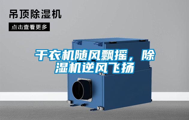 干衣機隨風(fēng)飄搖，除濕機逆風(fēng)飛揚