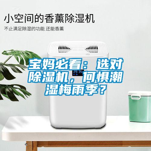 寶媽必看：選對除濕機，何懼潮濕梅雨季？