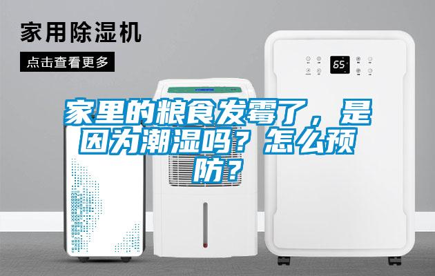家里的糧食發(fā)霉了，是因?yàn)槌睗駟幔吭趺搭A(yù)防？