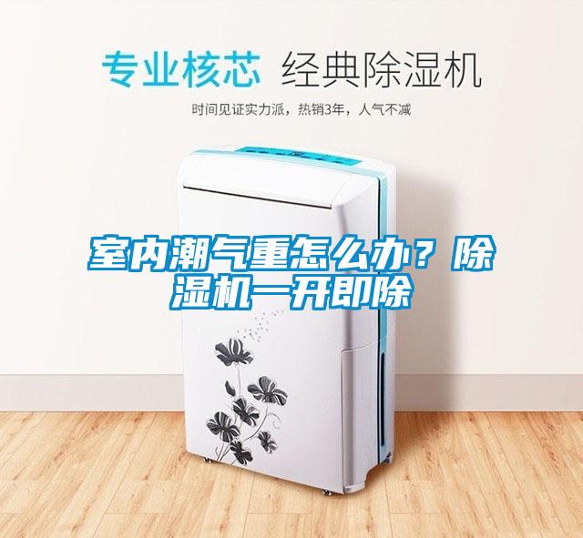 室內(nèi)潮氣重怎么辦？除濕機(jī)一開即除