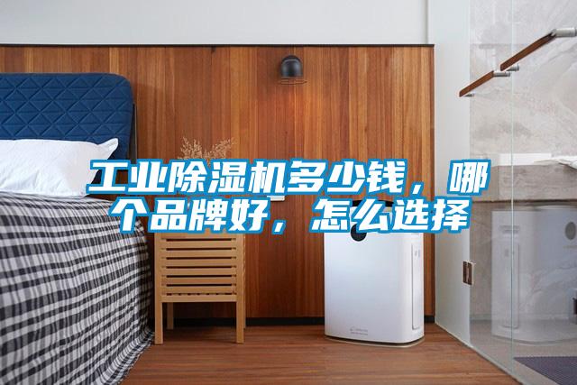 工業(yè)除濕機多少錢，哪個品牌好，怎么選擇