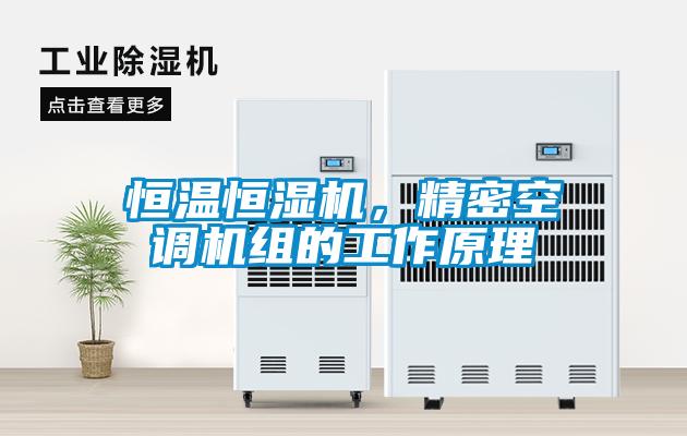 恒溫恒濕機(jī)，精密空調(diào)機(jī)組的工作原理