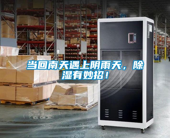 當回南天遇上陰雨天，除濕有妙招！