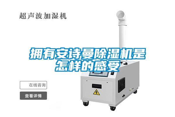 擁有安詩曼除濕機(jī)是怎樣的感受