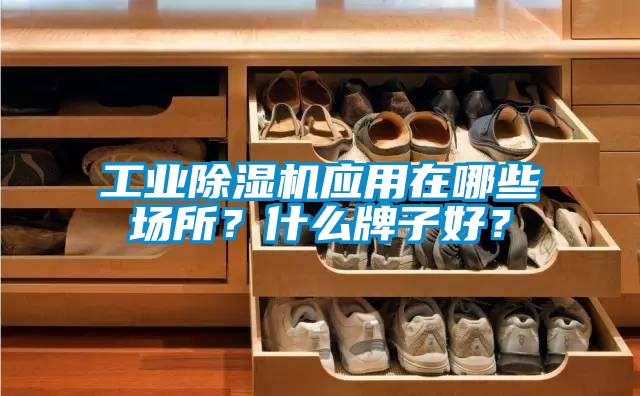 工業(yè)除濕機應(yīng)用在哪些場所？什么牌子好？