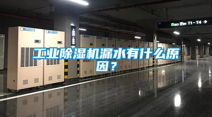 工業(yè)除濕機漏水有什么原因？