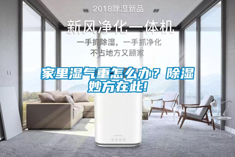 家里濕氣重怎么辦？除濕妙方在此!