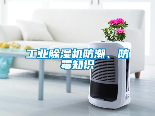 工業(yè)除濕機防潮、防霉知識