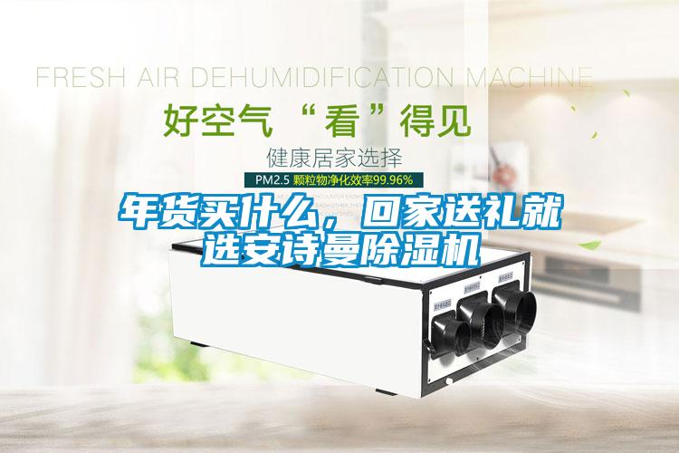 年貨買什么，回家送禮就選安詩曼除濕機(jī)