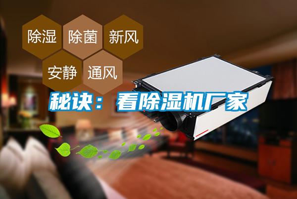 秘訣：看除濕機(jī)廠家