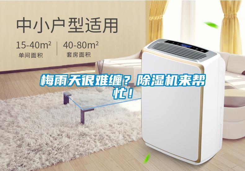 梅雨天很難纏？除濕機(jī)來幫忙！