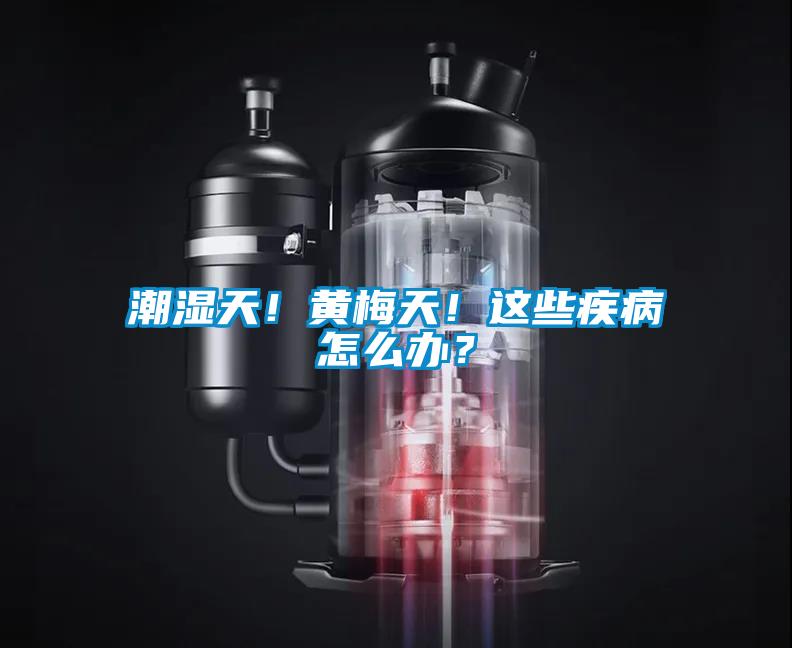 潮濕天！黃梅天！這些疾病怎么辦？
