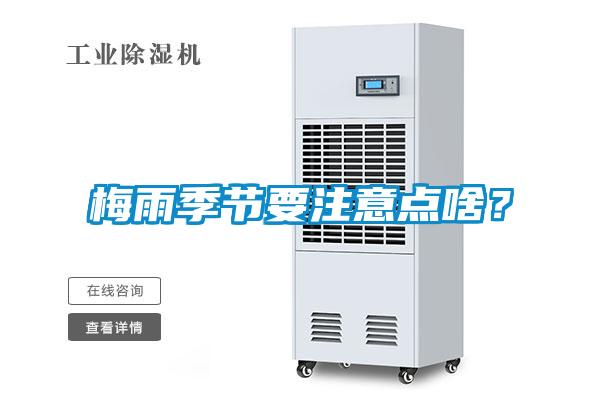 梅雨季節(jié)要注意點(diǎn)啥？