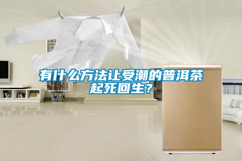 有什么方法讓受潮的普洱茶起死回生？