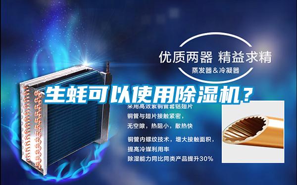 生蠔可以使用除濕機(jī)？
