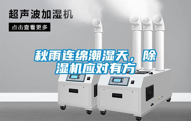 秋雨連綿潮濕天，除濕機應對有方