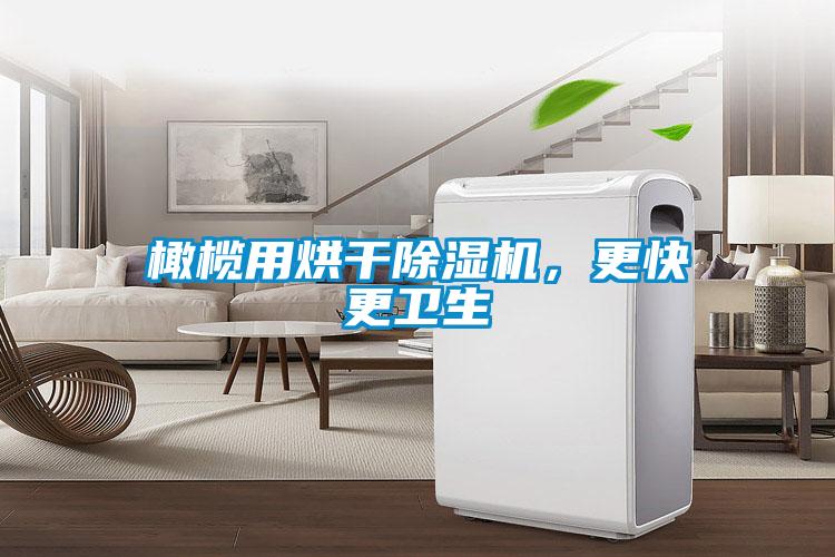 橄欖用烘干除濕機，更快更衛(wèi)生