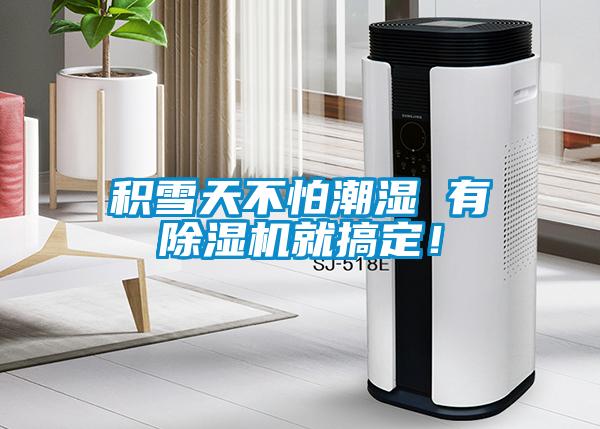 積雪天不怕潮濕 有除濕機(jī)就搞定！