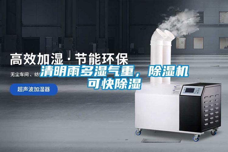 清明雨多濕氣重，除濕機可快除濕