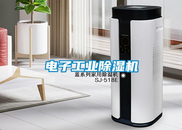 電子工業(yè)除濕機