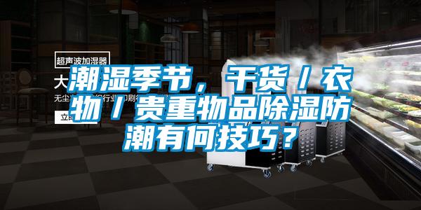 潮濕季節(jié)，干貨／衣物／貴重物品除濕防潮有何技巧？