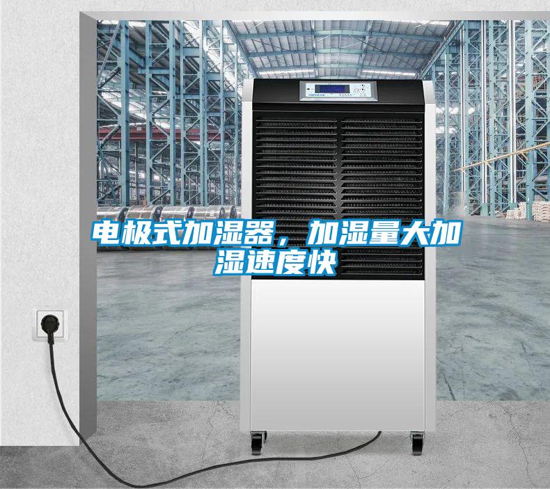 電極式加濕器，加濕量大加濕速度快