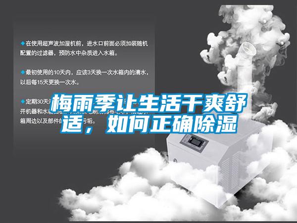 梅雨季讓生活干爽舒適，如何正確除濕