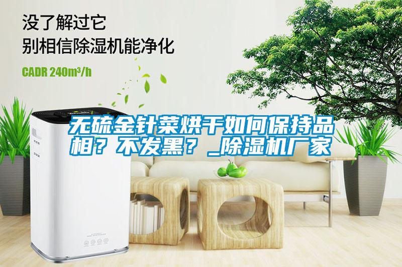 無硫金針菜烘干如何保持品相？不發(fā)黑？_除濕機廠家